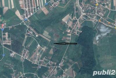 Teren de 5757 mp, în Paleu - 3
