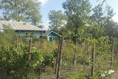 Casă cu 3 camere cu Teren 8000 Mp în Stuhuleț - 5