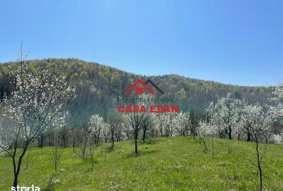 Teren de 9104 mp, în Brebu - 20