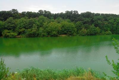 Teren Construcții intravilan de 900 mp, în Brănești - 2