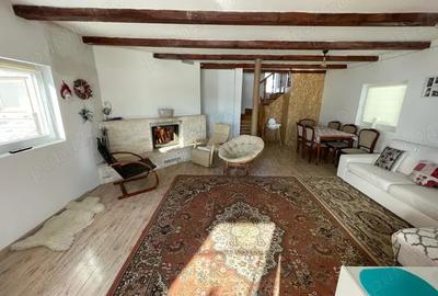 Vand cabana la Belis - 1