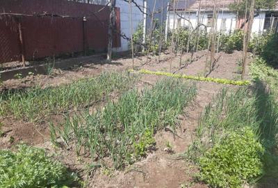 Casă cu 3 camere în Ocna Mureș - 1