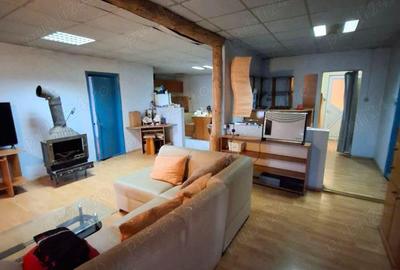 Hala industriala , productie sau depozitare ! - 8