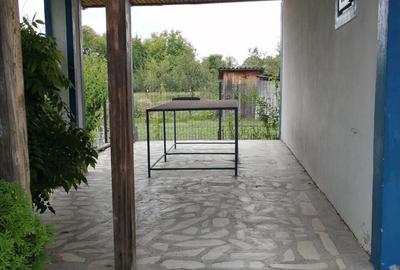 Casa curte (casa de vacanta) - 10