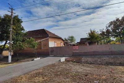 Casă cu 6 camere cu Teren 3277 Mp în Cenad - 2