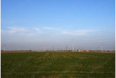 Teren de 22500 mp, în Fetești-Gară - 2