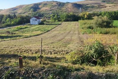 Teren de 2900 mp, în Căianu - 6