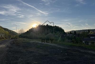 Teren la poalele Cetății Cisnadioarei de vânzare/1250 mp - 11