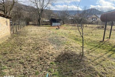 Casă cu 3 camere în Nou