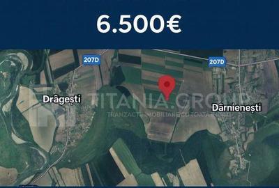 Teren de 10000 mp, în Dămienești - 4