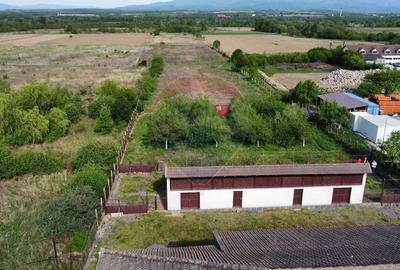 Casă de vanzare in Caransebes - 11