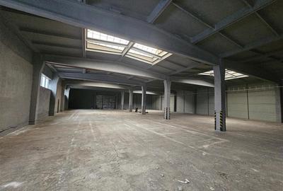 Spațiu industrial, de 4,304 mp, în Sud - 3