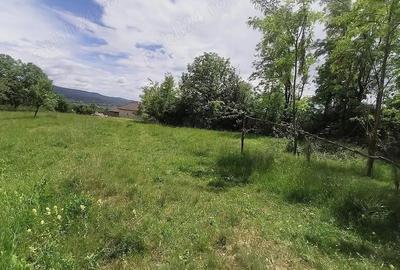 Teren intravilan 7759 mp in Curtea de Arges zona Noaptes - 8