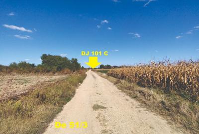 Teren agricol intravilan de 4400 mp, în Gruiu - 3