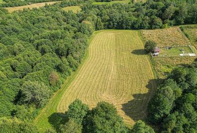 Teren de vanzare 4.500 mp  Predelut, Bran! Ideal pentru case de vacanta, glampi - 1