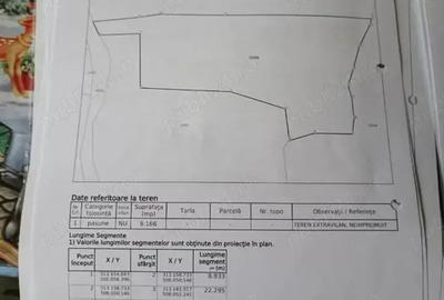 Casă cu 2 camere în Boiu - 6