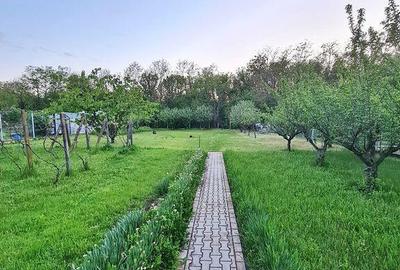 Direct proprietar - Proprietate Unica Buftea - 13