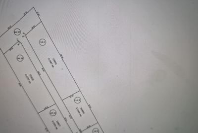 Teren de 2737 mp, în Berceni