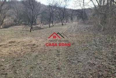 Teren de 3448 mp, în Provița de Jos - 5