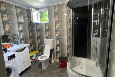 Brancoveanu-Nitu Vasile | Casa Individuala- D+P+1+M - 18