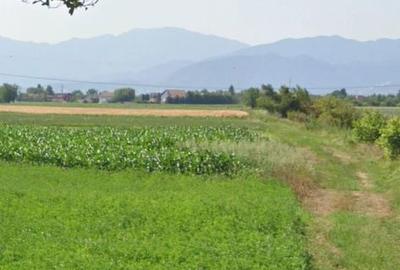 Teren de 10000 mp, în Stupini - 3