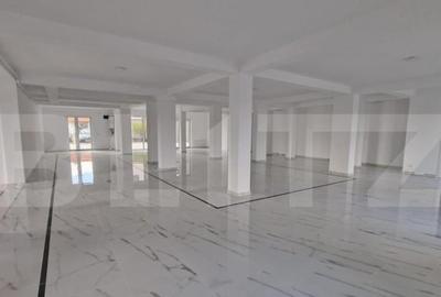Spatiu comercial nou, 307 mp, 7 locuri parcare, Dumbravita - 7