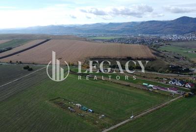 Teren agricol intravilan de 10000 mp, în Gârcina - 9