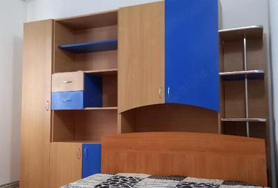 Apartament cu 2 camere semidecomandat în Craiovița Nouă - 3