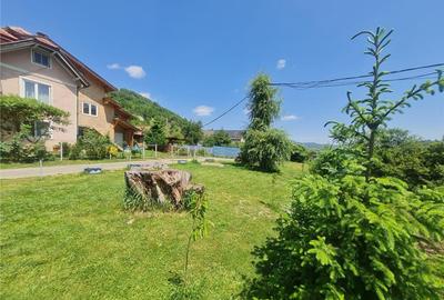 Teren de 1.450 mp, cu priveliste de carte postala, Bran, Moi - 3