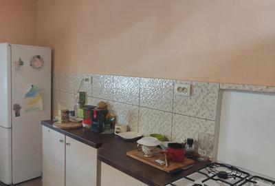 Casa de vacanta de vanzare in Cosdeni - 2