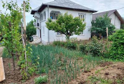 Vand casa mare cu livada, vie, gradina in Fratostita - 5