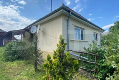 Casă cu 2 camere cu Teren 6660 Mp în Central