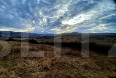 Teren intravilan 2900mp, situat in cartierul Sopor Teren intravilan 2900mp, situat in cartierul Sopor - 3