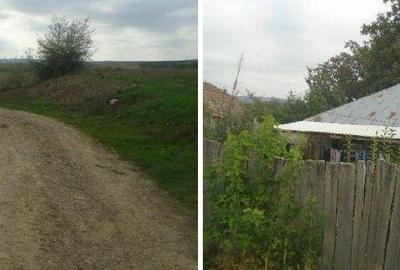 Casă cu 3 camere în Covrag