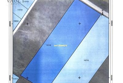 Teren Construcții intravilan de 10000 mp, în Tohanu Nou - 6