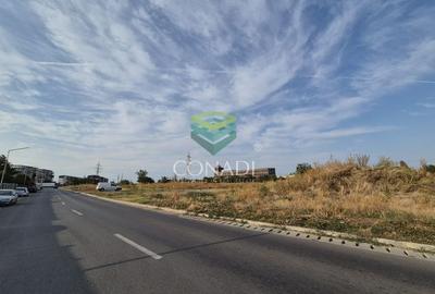 Teren Pantelimon - 25.000 mp - 11