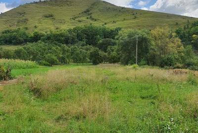 Vand casa la tara - 3