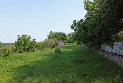 Teren Construcții intravilan de 4863 mp, în Adâncata - 9