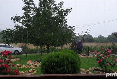 Casă cu 5 camere cu Teren 6000 Mp în Topraisar - 7