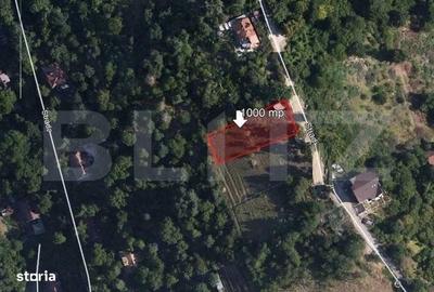 Spațiu comercial, în Drumul Poienii - 3