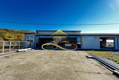 Spațiu industrial, de 250 mp, în Buhoci - 9