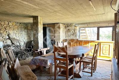 Casă cu Teren 2046 Mp în Tileagd - 18