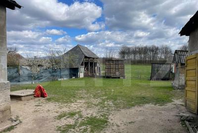 Casa cu 2 camere, 91 mp, teren 3.400 mp, zona comuna Apa - 11