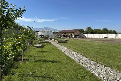 Teren 1.243 mp Stupini - 4