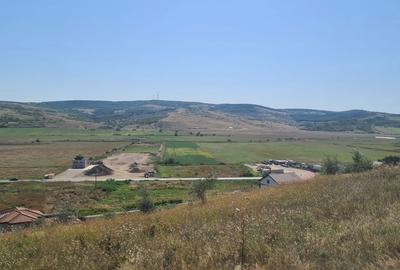 Teren de 7437 mp, în Exterior Vest - 4