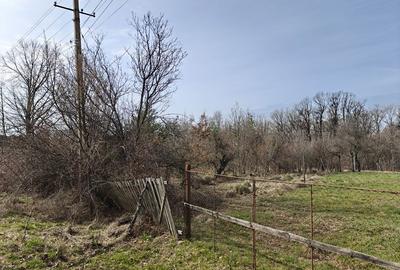 Spațiu comercial, în Lintești - 6