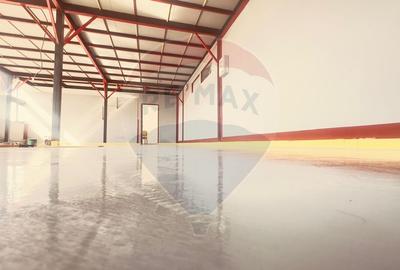 DE INCHIRIAT Spatiu comercial de 120-480 mp in zona Bucurestii Noi - 18