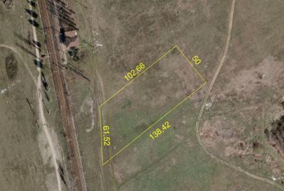 Oportunitate Investitie - 6000mp - Mogosoaia - 4