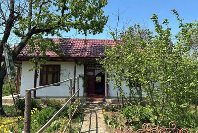 Casă cu 5 camere cu Teren 1422 Mp în Alexeni - 16
