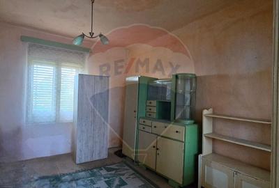 Casa de vanzare in Graniceri aproape de Arad - 24